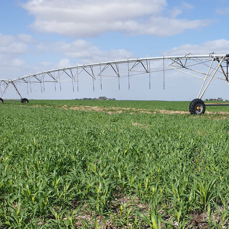 water pressure monitor