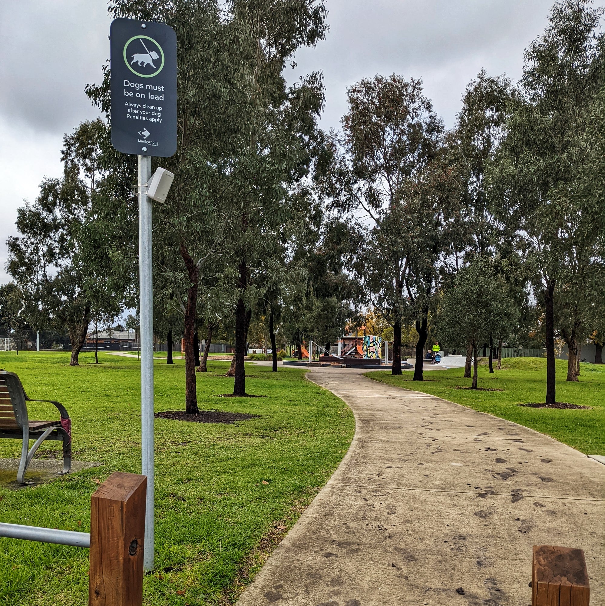 people counting sensor