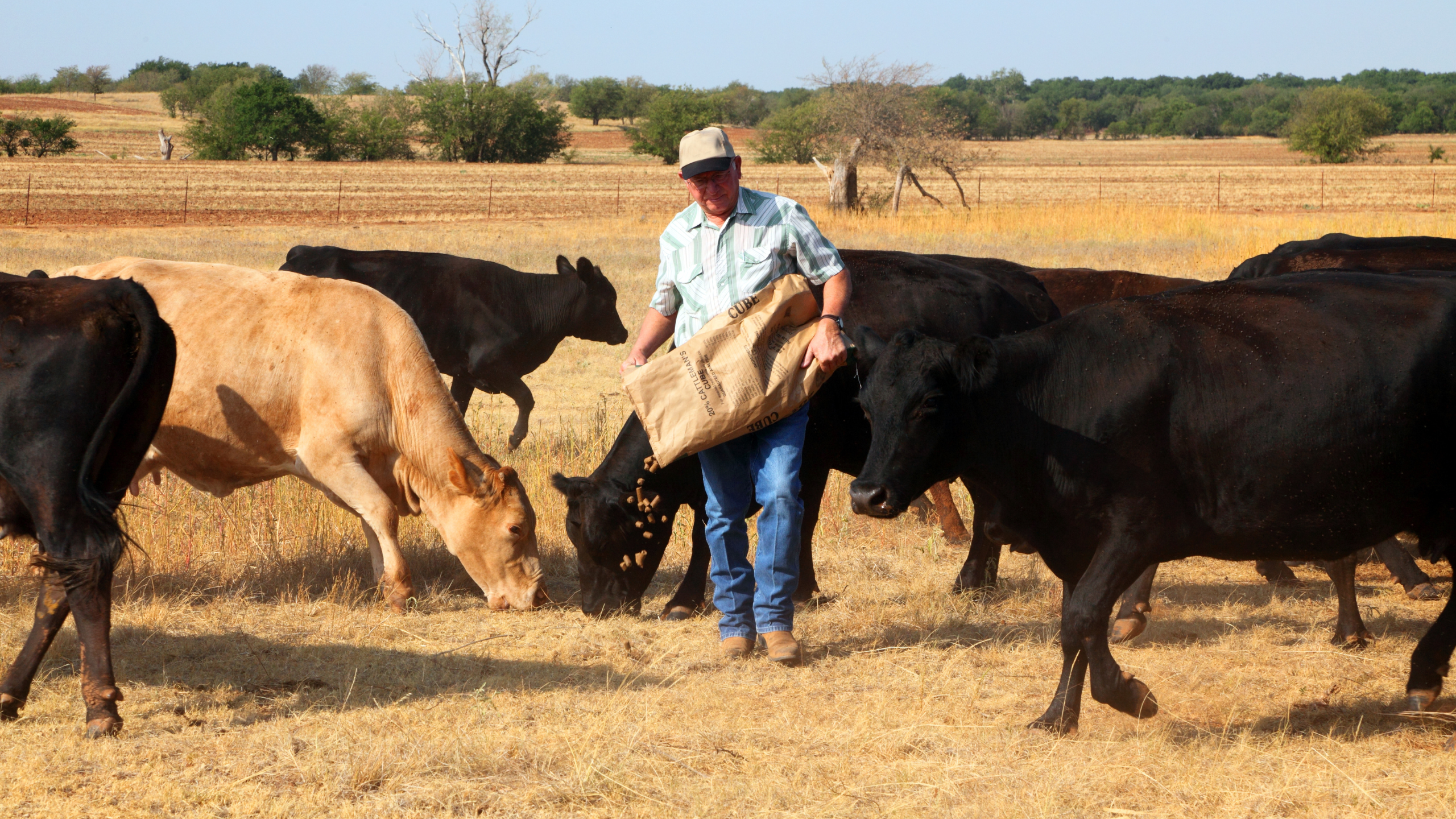 farmers drought grant