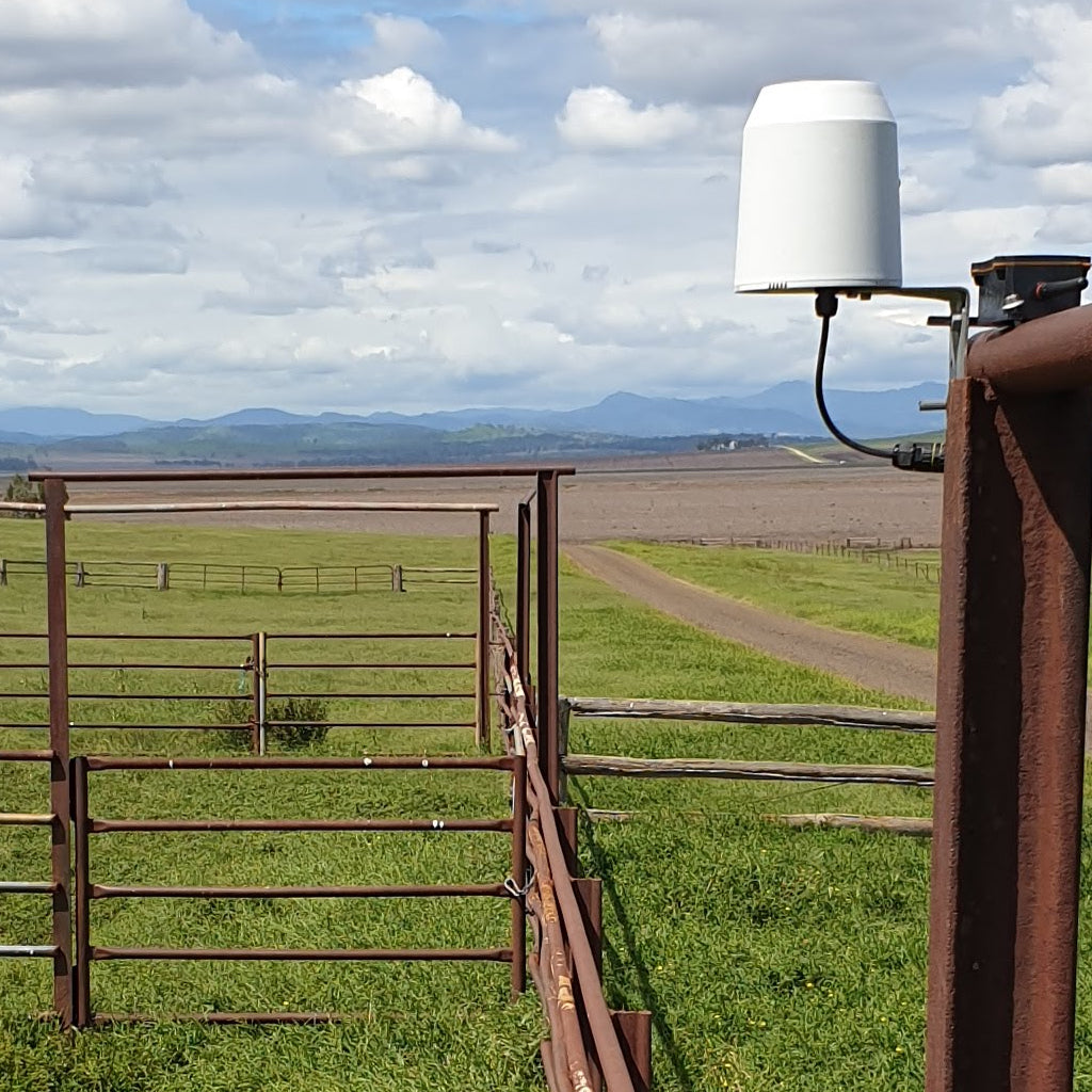 remote rain gauge